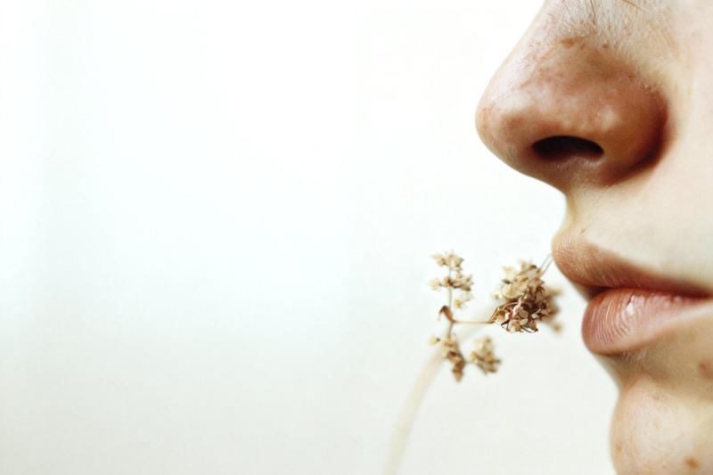 Understand Your Nose